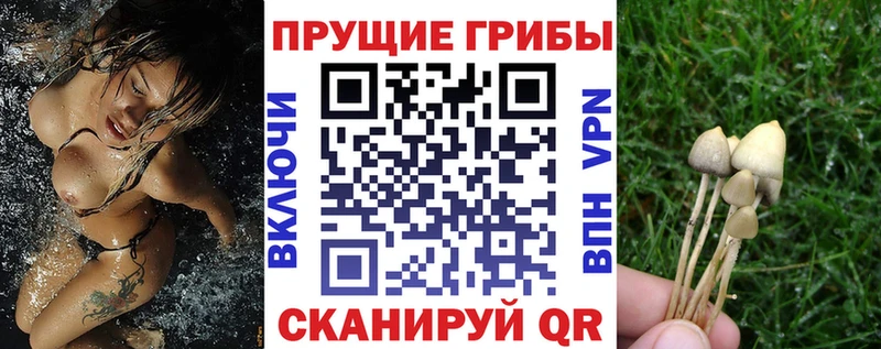 Псилоцибиновые грибы прущие грибы  Киров 